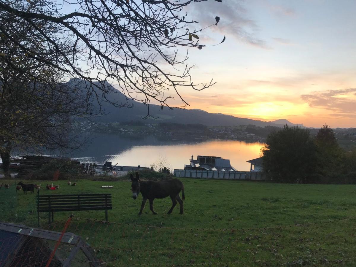 Ferienwohnung Lechnerhof Tiefgraben Dış mekan fotoğraf